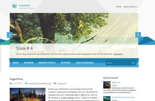 网页设计代理代办 一站式解决方案如何赋能您的线上形象