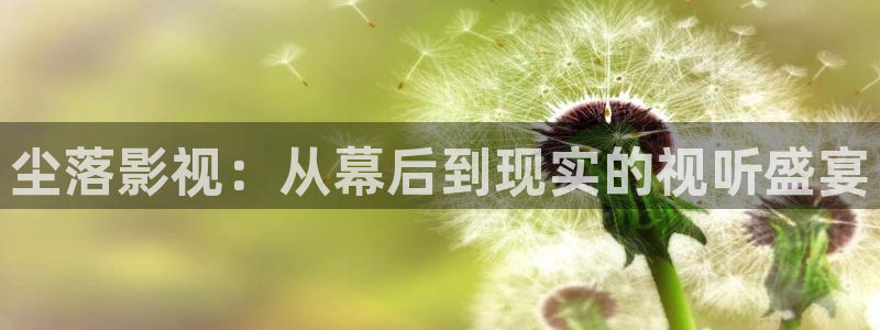 穿梭在韩国影视世界的小说