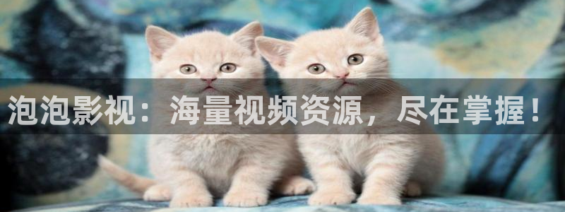 韩国影视大全