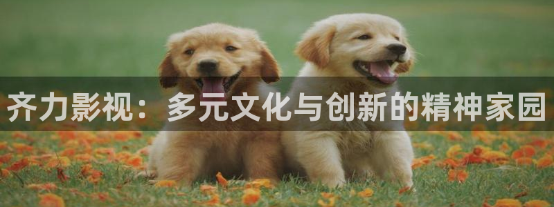 韩国影视在线免费观看