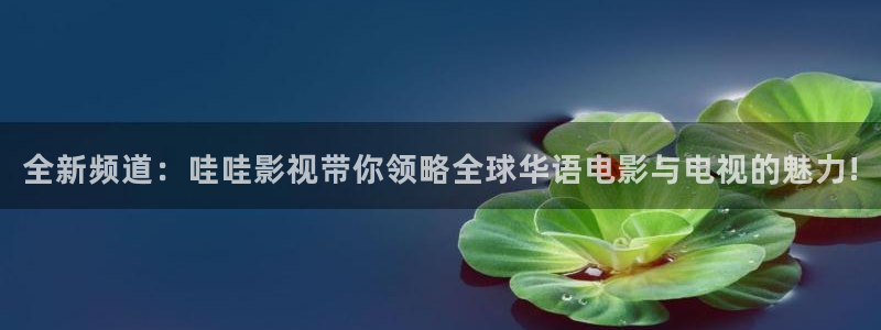 八戒韩国影视：全新频道：哇哇影视带你领略全球华语电影与电视的魅力!