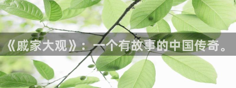 穿梭在韩国影视世界的小说