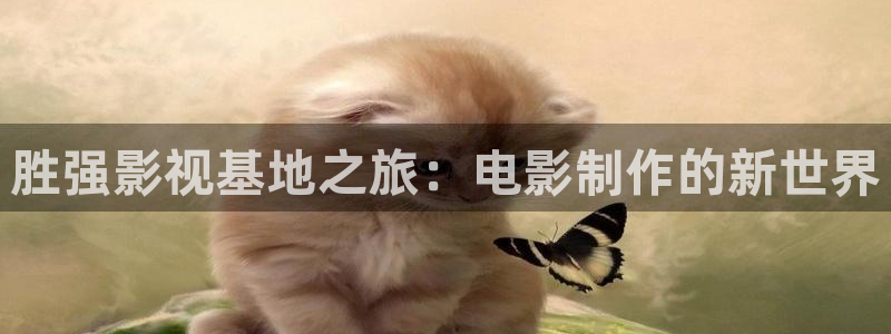 韩国影视电影