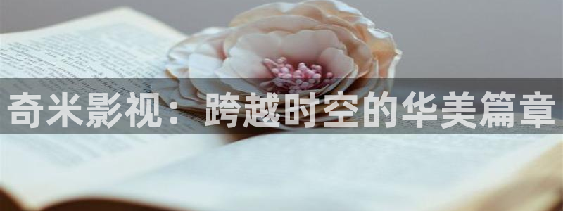 穿梭在韩国影视世界的小说